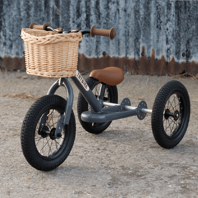 Trybike Basket For Steel Bikes