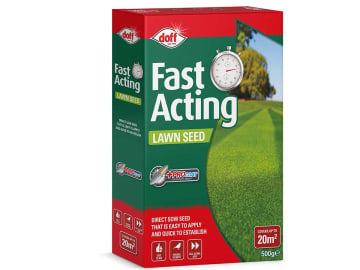 Fast Growing Lawn Seed 500g