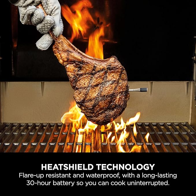 Ninja ProChef Wireless Meat Thermometer Probe
