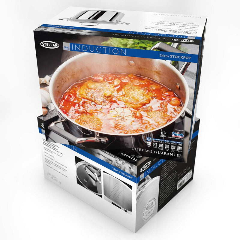 Stellar 5000 Induction Flow 24cm Stockpot S545