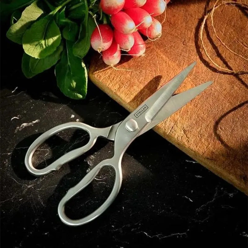 Stellar Forged Scissors 21cms