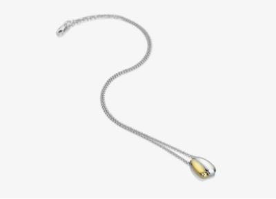 Hot Diamonds Pendent Necklace DP1095 Silver and Gold Plated