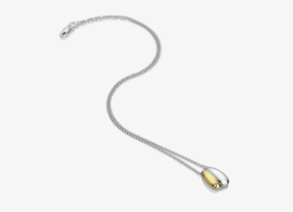Hot Diamonds Pendent Necklace DP1095 Silver and Gold Plated