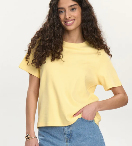 Numph Ladies NUFira T Shirt in Golden Haze, Fira Tee