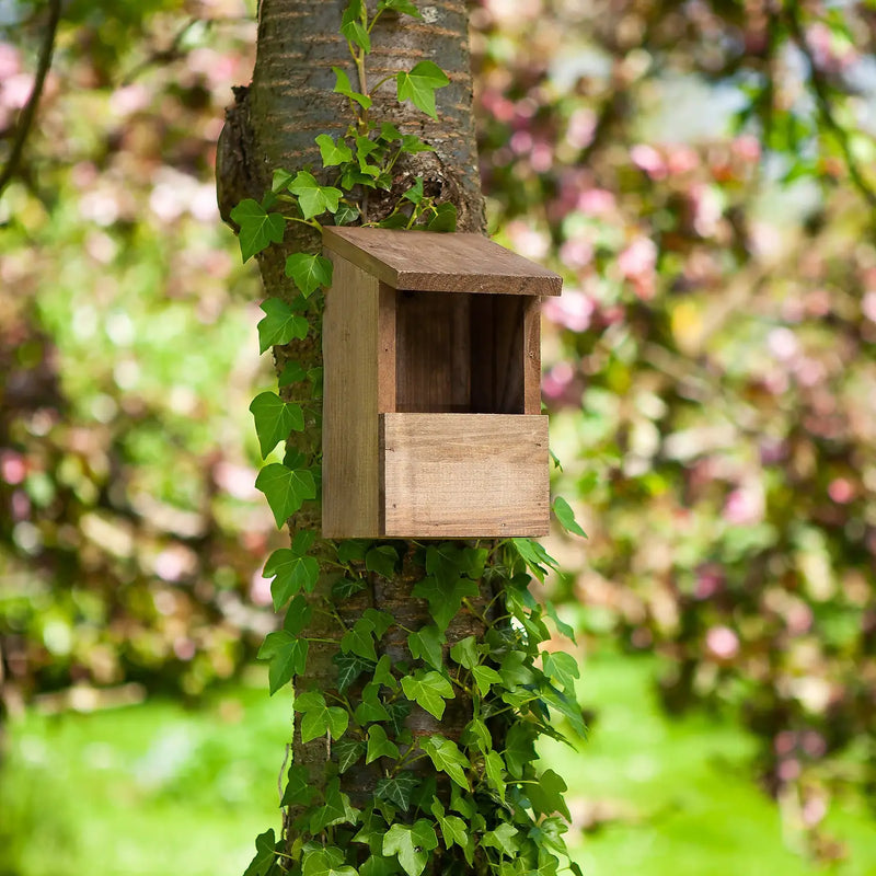 CHAPELWOOD 7522005 CLASSIC ROBIN NEST BOX