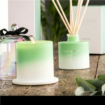 Galway Crystal Cardamom and Sage Diffuser