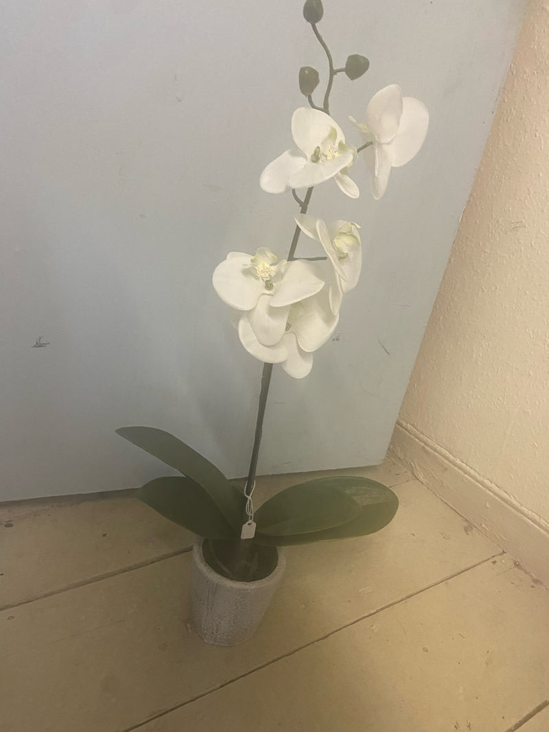 Faux Orchid Plant