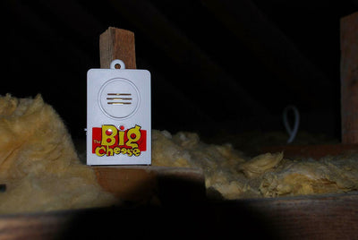 Stv Big Cheese Snap Trap Alert Catch Indicator Battery Operated STV720