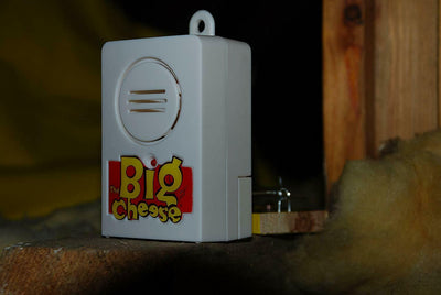 Stv Big Cheese Snap Trap Alert Catch Indicator Battery Operated STV720